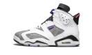 Air Jordan Retro 6 "Flint Grey" CI3125 100