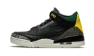 Air Jordan 3 SE "Animal Instinct 2.0" CV3583 003