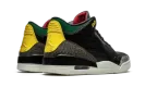Air Jordan 3 SE "Animal Instinct 2.0" CV3583 003