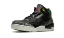 Air Jordan 3 SE "Animal Instinct 2.0" CV3583 003