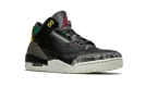Air Jordan 3 SE "Animal Instinct 2.0" CV3583 003
