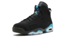 Air Jordan 6 Retro "UNC" 384664 006