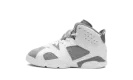Air Jordan 6 PS "Cool Grey" DV3605 100