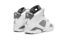 Air Jordan 6 PS "Cool Grey" DV3605 100