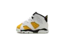 AIR JORDAN 6 RETRO TD "YELLOW OCHRE" DV3606 170
