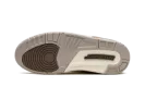 Air Jordan 3 "Palomino" CT8532 102