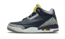 Air Jordan 3 Retro PE "Michigan" AJ3 820064