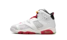 Air Jordan 6 Retro GS "Hare" 384665 062