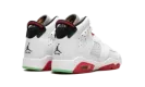 Air Jordan 6 Retro GS "Hare" 384665 062