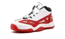 Air Jordan 11 Retro Low IE GS 919713 101