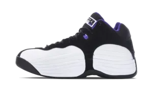 Jordan Jumpman Team "White/Field Purple" CV8926 105