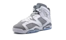 Air Jordan 6 GS "Cool Grey" 384665 100