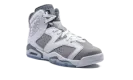 Air Jordan 6 GS "Cool Grey" 384665 100