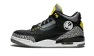 Air Jordan 3 "Oregon Pit Crew" 282240 594