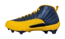Air Jordan 12 Savage 3 PE Cleats "University of Michigan" FJ6219 407