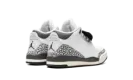 Air Jordan 3 PS "Hide & Sneak" FB4416 100