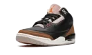 Air Jordan 3 Retro "Desert Elephant" CT8532 008