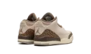Air Jordan 3 PS "Palomino" DM0966 102