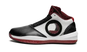 Air Jordan 2010 387358 061