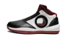 Air Jordan 2010 387358 061