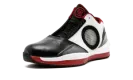 Air Jordan 2010 387358 061