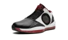 Air Jordan 2010 387358 061