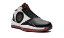 Air Jordan 2010 387358 061