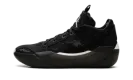 Air Jordan XXXIX "Black / Sail" FQ0213 001