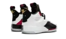 Air Jordan 33 "Future of Flight"