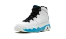 Air Jordan 9 PS "Powder Blue" 401811 101