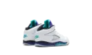 Jordan 5 Retro TD "Grape (2025)" HQ7981 100