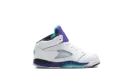 Jordan 5 Retro TD "Grape (2025)" HQ7981 100