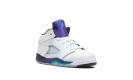 Jordan 5 Retro TD "Grape (2025)" HQ7981 100