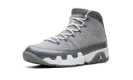 Air Jordan 9 "Cool Grey 2025" HV4794 011