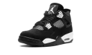 Air Jordan 4 "White Thunder" FQ8138 001