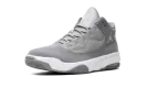Jordan Max Aura 2 "Cool Grey" CK6636 012
