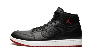 Jordan Access "Bred"