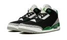 Air Jordan 3 Retro "Pine Green" CT8532 030
