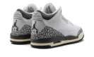 Air Jordan 3 GS "Hide N Sneak"