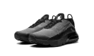 Air Max 2090(GS)