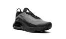 Air Max 2090(GS)