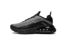 Air Max 2090(GS)