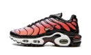AIR MAX PLUS MNS WMNS "Sisterhood"