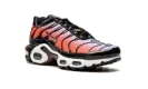 AIR MAX PLUS MNS WMNS "Sisterhood"