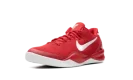 Kobe 8 Protro GS "University Red"