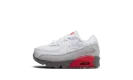 Air Max 90 TD "White Flat Pewter"