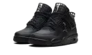Air Jordan 4 WMNS "Net Black" FN7251 001