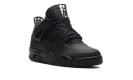 Air Jordan 4 WMNS "Net Black" FN7251 001
