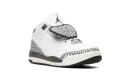 Air Jordan 3 PS "Hide & Sneak"