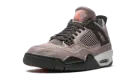 Air Jordan 4 Retro GS "Taupe Haze" DJ6249 200
